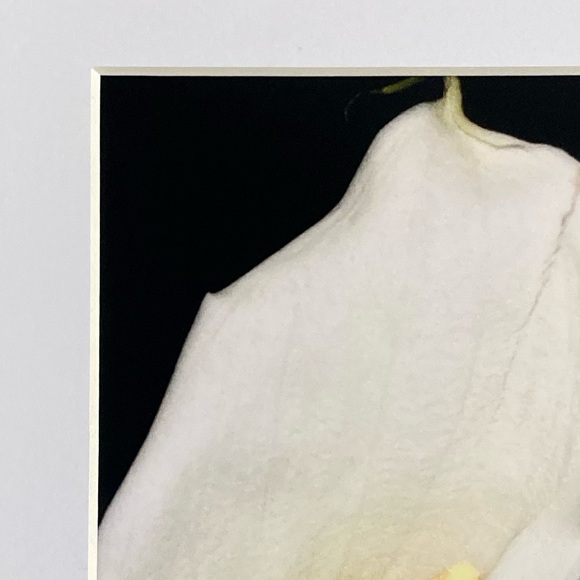 “CALISTA” ~ ORIGINAL ART by ~ @lisamichellebeckerphotography - Picture 2 of 13